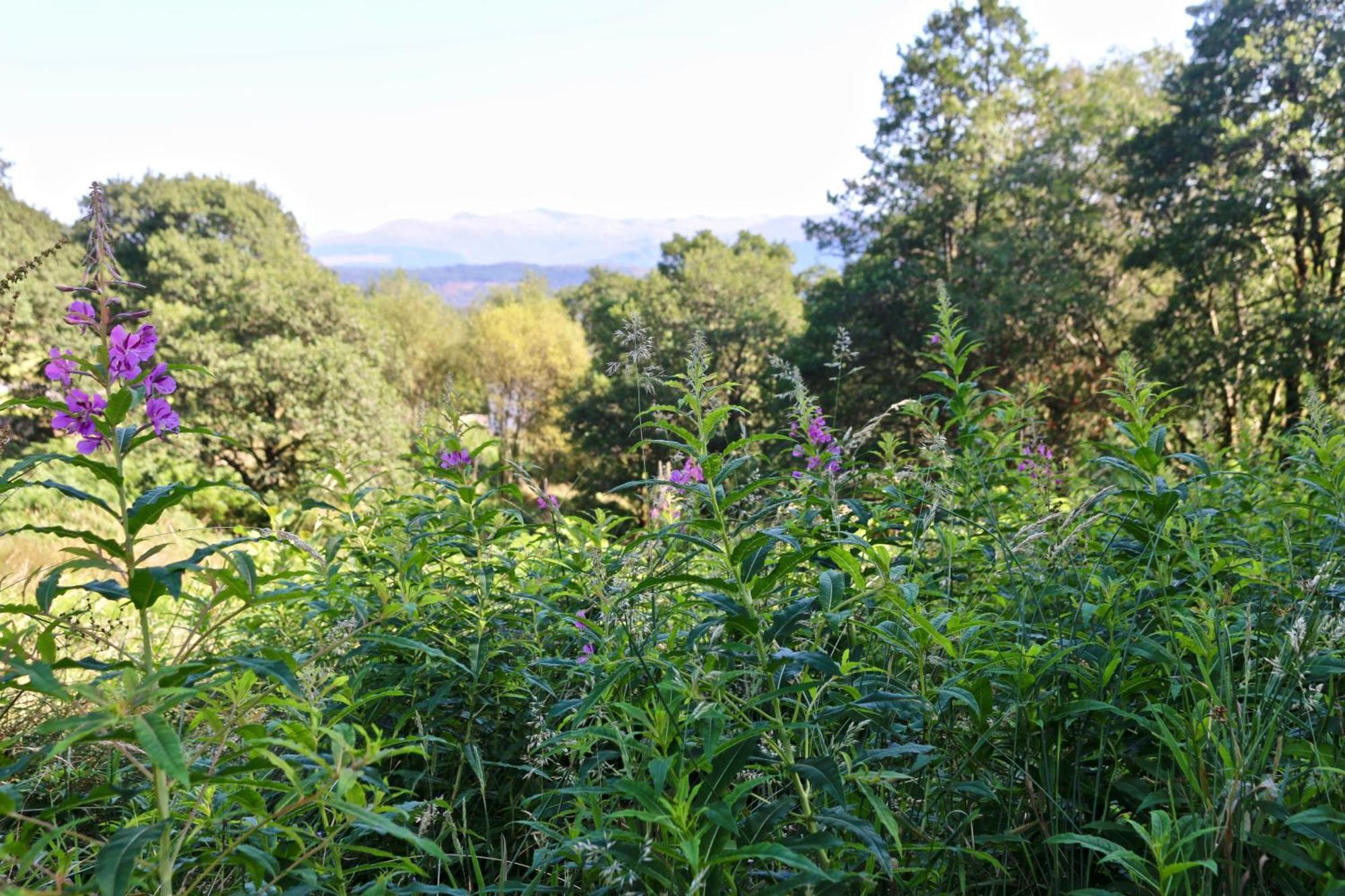 Inverskilavulin Estate Lodges Fort William Zewnętrze zdjęcie